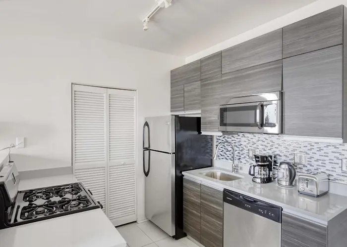 South Loop 1br Nr L Grant Park Chi-806 Chicago