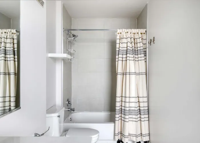 South Loop 1br Nr L Grant Park Chi-806